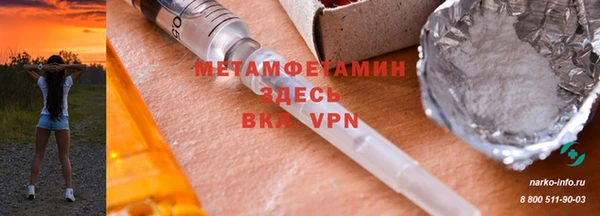 шишки Горняк