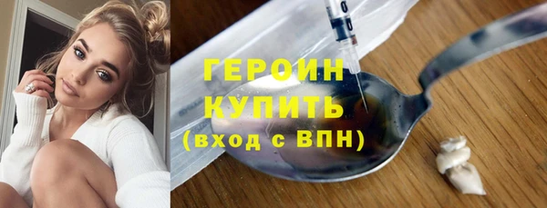 амф Гусев