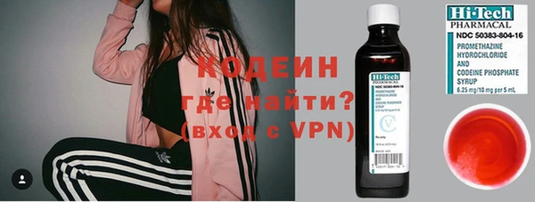 амф Гусев