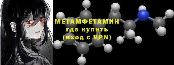 шишки Горняк