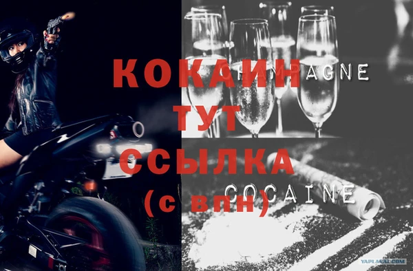 шишки Горняк