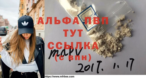 амф Гусев