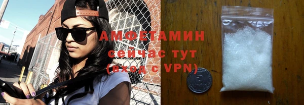 спиды Ельня